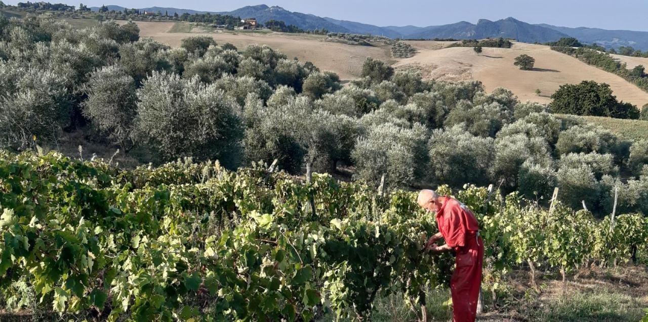 Agriturismo Santa Chiara Pomarance Bagian luar foto