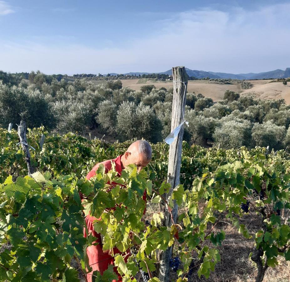 Agriturismo Santa Chiara Pomarance Bagian luar foto