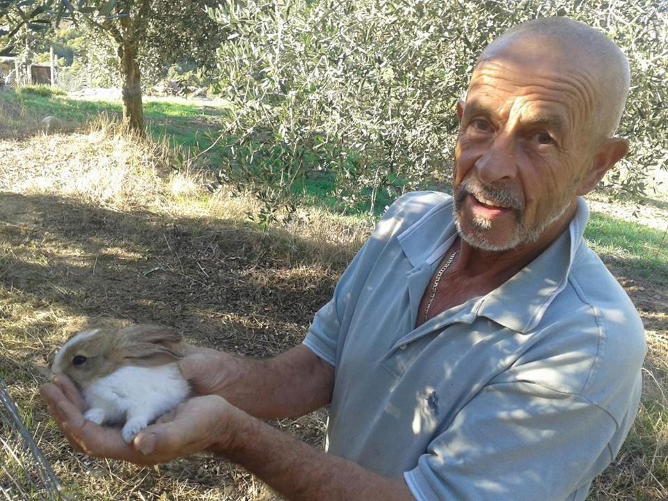 Agriturismo Santa Chiara Pomarance Bagian luar foto