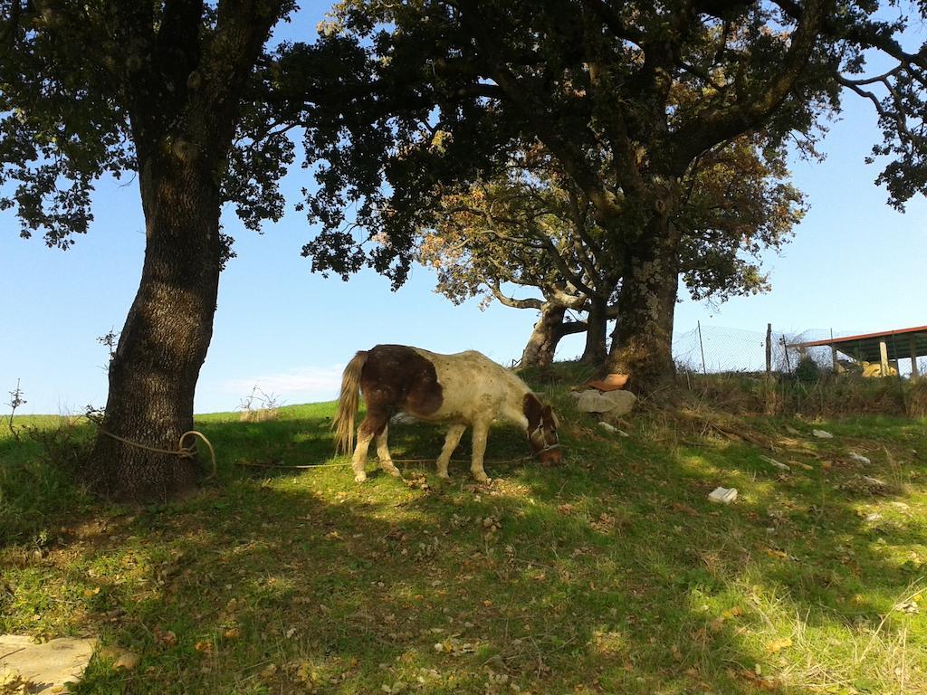 Agriturismo Santa Chiara Pomarance Bagian luar foto