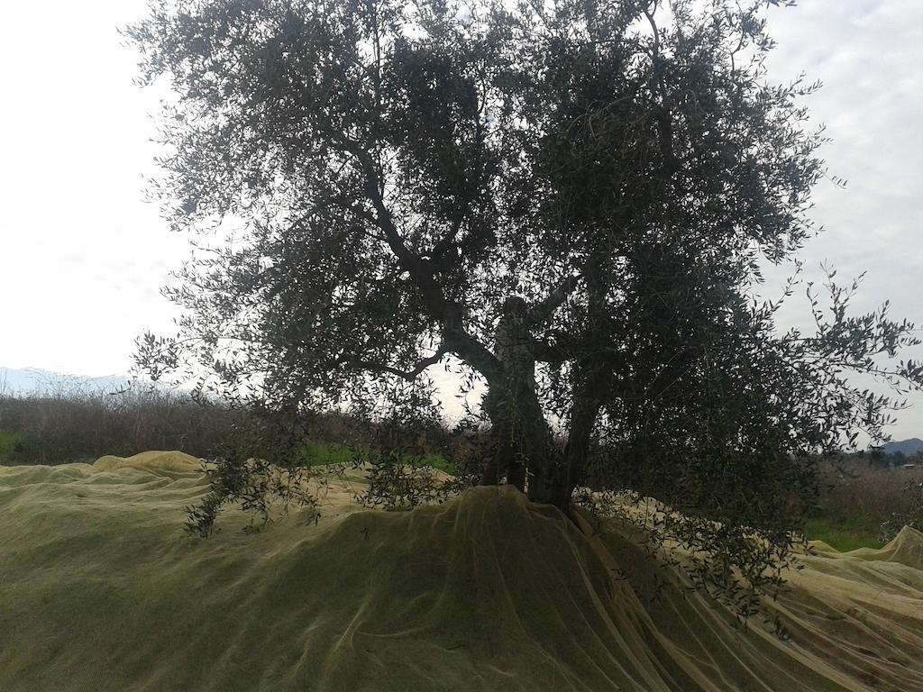 Agriturismo Santa Chiara Pomarance Bagian luar foto