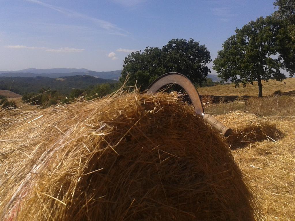 Agriturismo Santa Chiara Pomarance Bagian luar foto