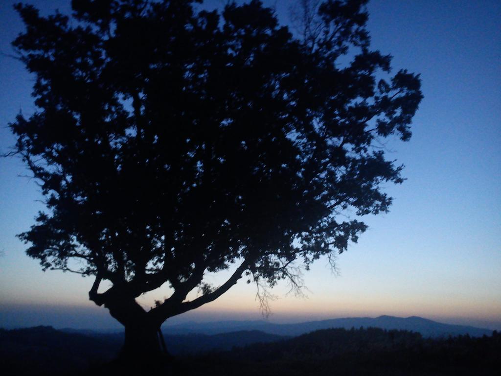 Agriturismo Santa Chiara Pomarance Bagian luar foto